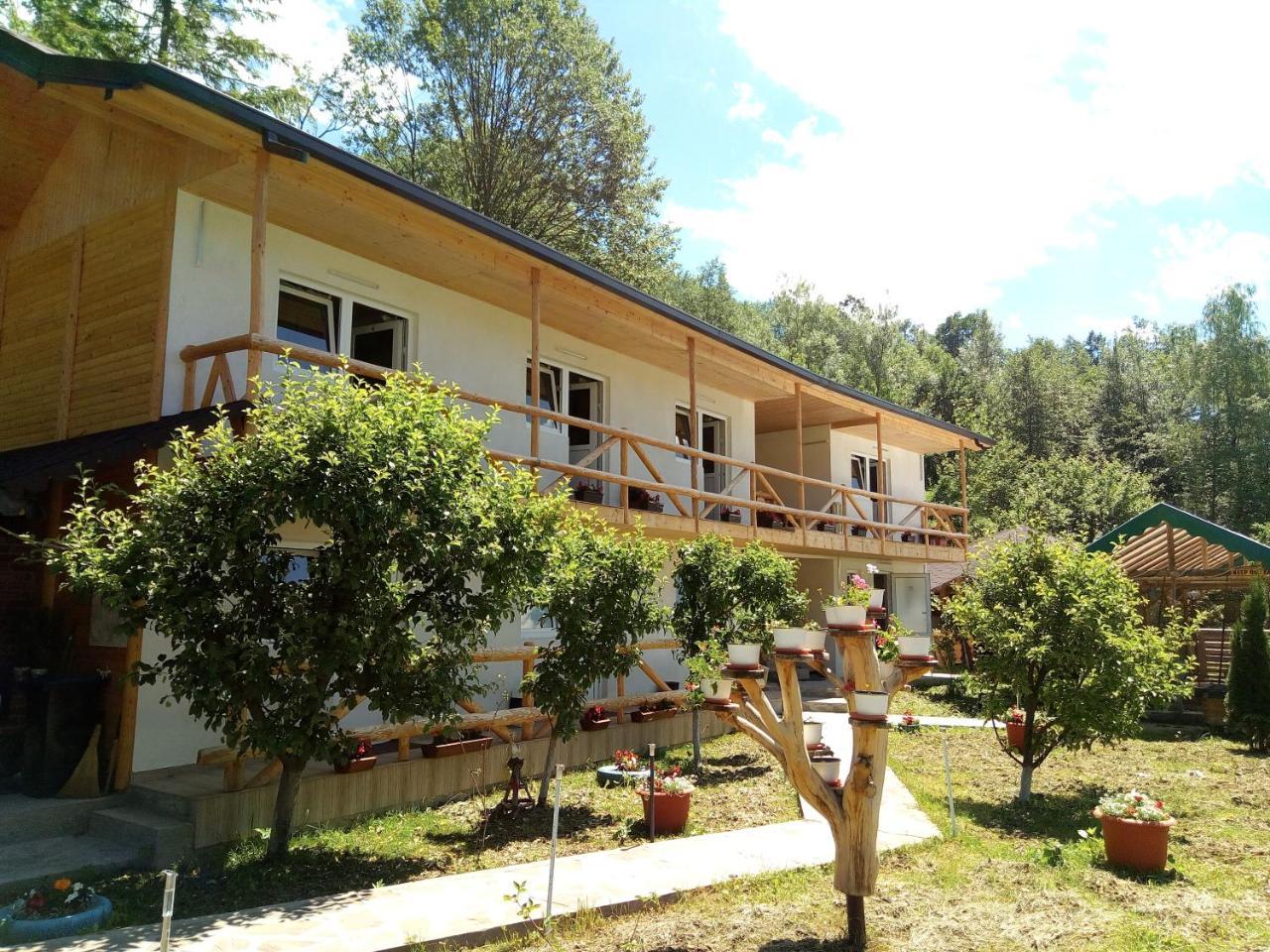Pensiunea Serbeca Brosteni Exterior photo