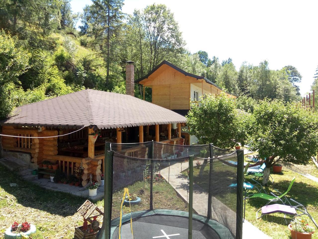 Pensiunea Serbeca Brosteni Exterior photo