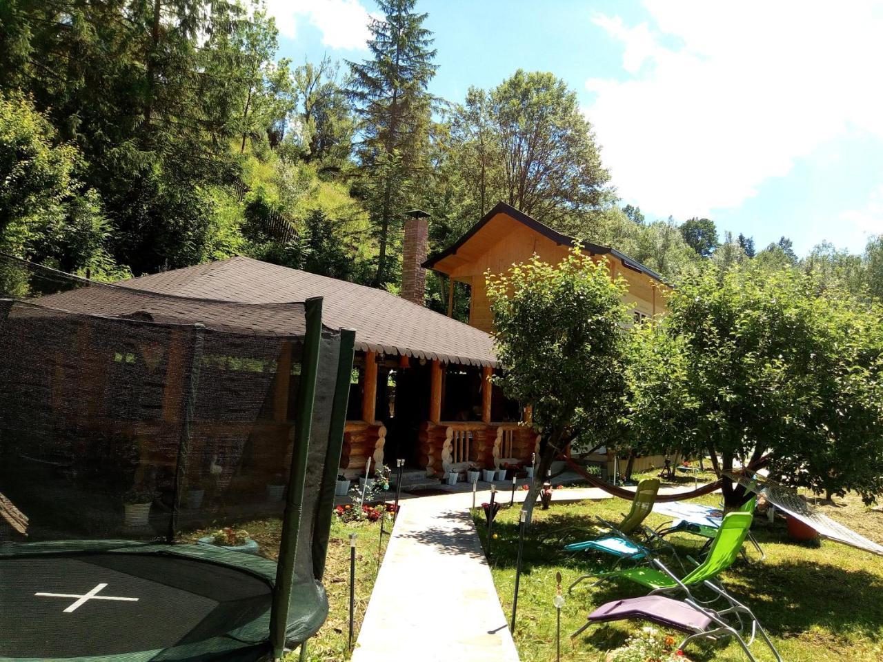 Pensiunea Serbeca Brosteni Exterior photo