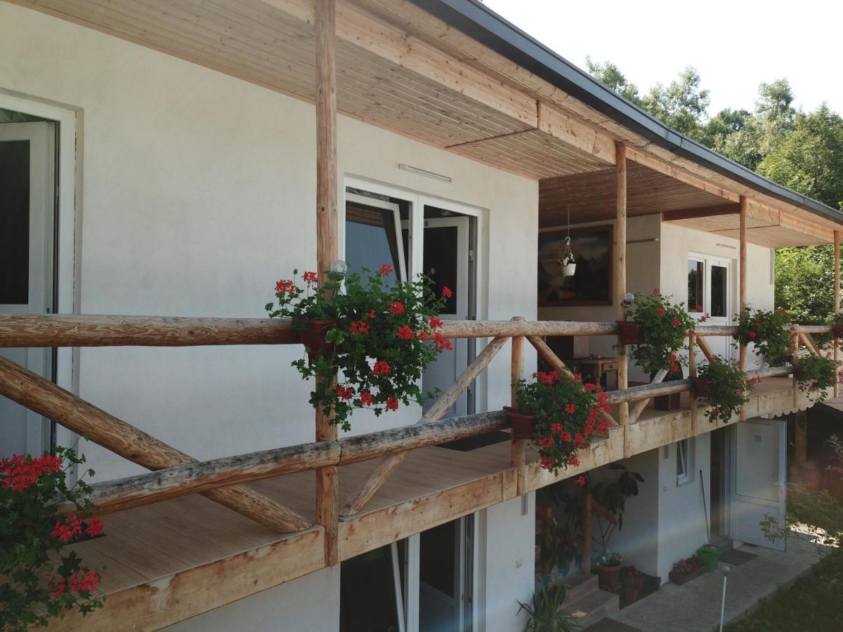 Pensiunea Serbeca Brosteni Exterior photo